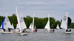 Goldenes Beil vom Langen See 2019