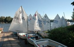 ABC Regatta 2013