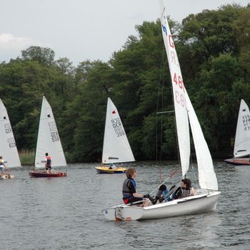 Goldenes Beil 2010-05