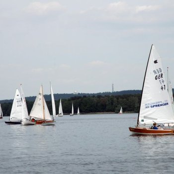 Goldenes Beil 2010-07