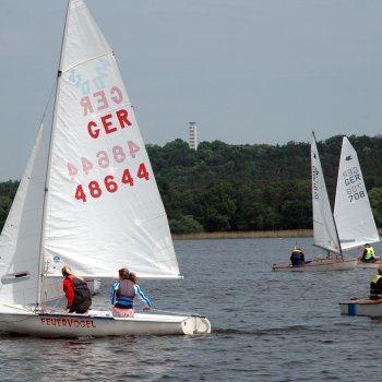 Goldenes Beil 2011-01