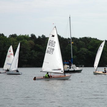 Goldenes Beil 2011-02