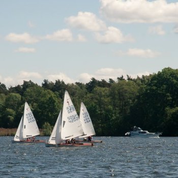 Goldenes Beil 2014-19