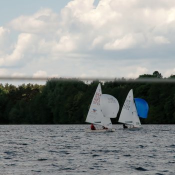 Goldenes Beil 2015-01