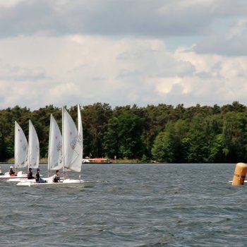 Goldenes Beil 2015-04