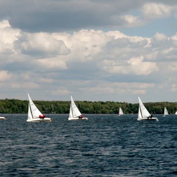 Goldenes Beil 2015-05