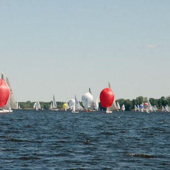 Goldenes Beil 2014-09